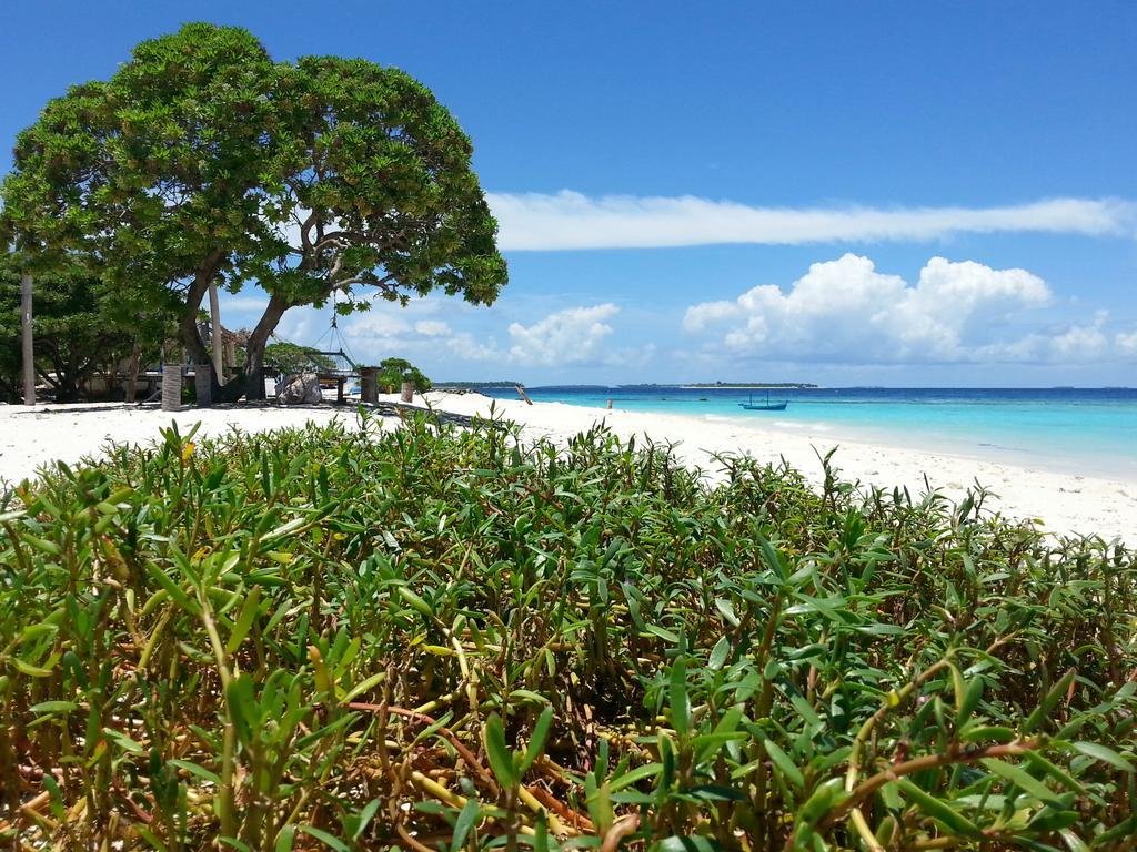 Lvis Blancura Hotel Dharavandhoo Eksteriør billede