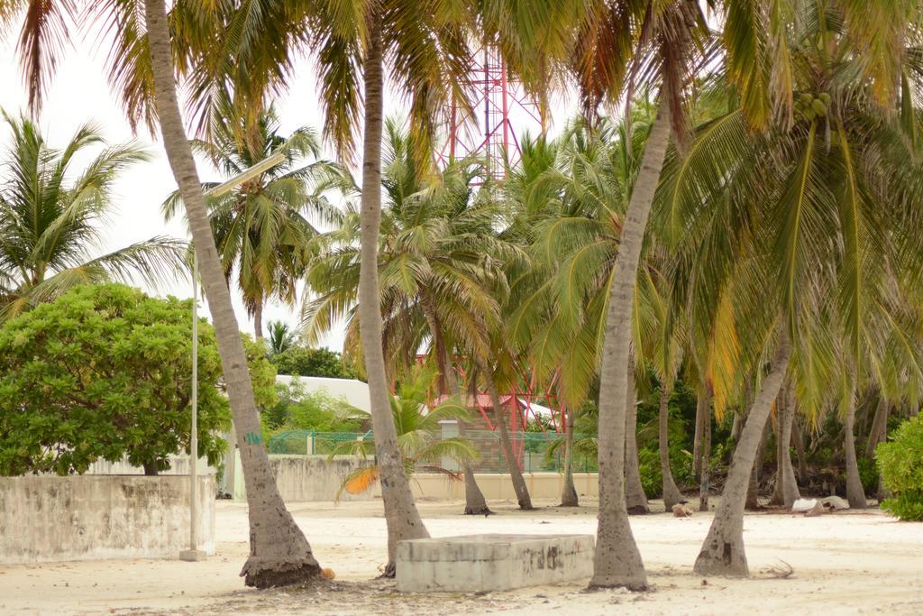 Lvis Blancura Hotel Dharavandhoo Eksteriør billede